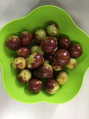 哪里的冬棗最好?山東沾化、河北黃驊、陜西大荔,還是山西、新疆江西或其他地方?